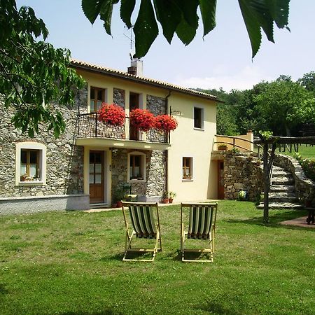 Il Girasole Bed & Breakfast Fosdinovo Rom bilde
