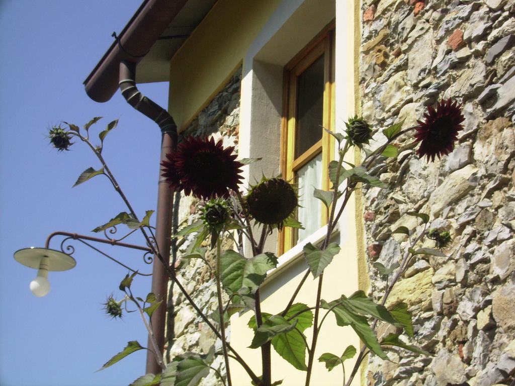 Il Girasole Bed & Breakfast Fosdinovo Eksteriør bilde